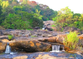 Муннар: Aruvi Resorts
