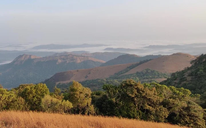 Алюр: Paradise Wild Hills