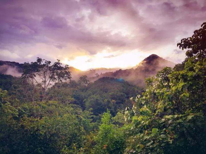 Paradise Wild Hills — фото 5