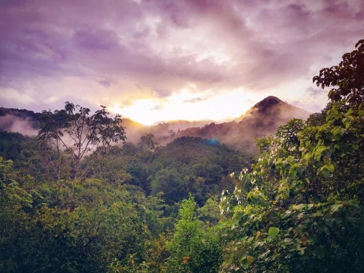 Алюр: Paradise Wild Hills
