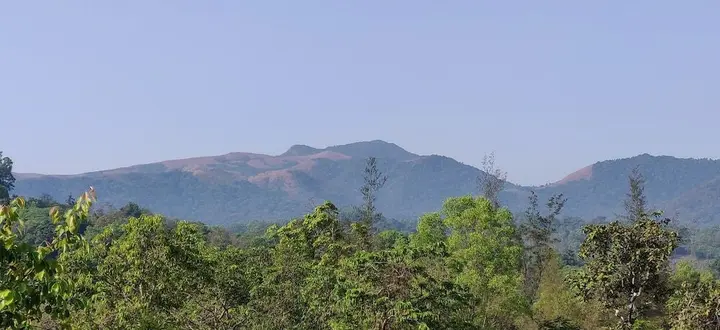 Алюр: Paradise Wild Hills