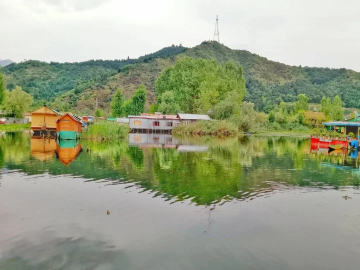 Шринагар: New Bul Bul Group Of Houseboats
