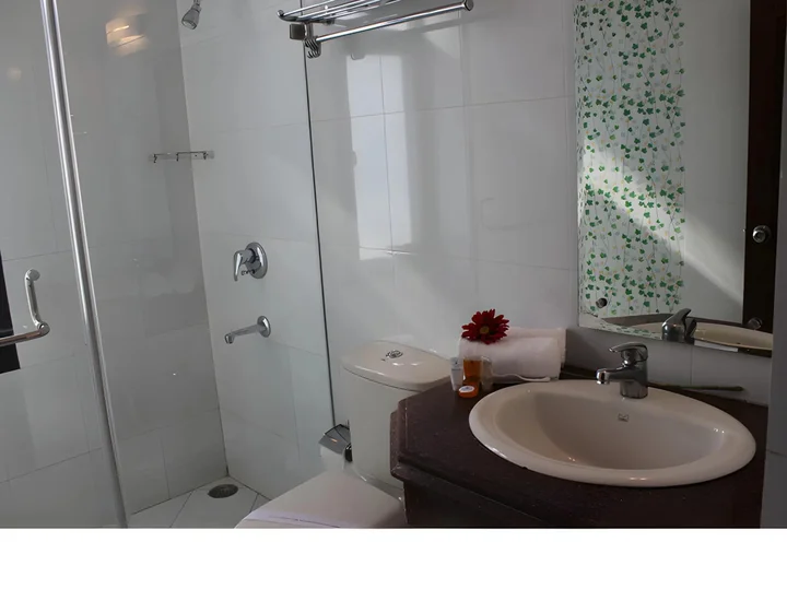 Татапани: Sandhya Hot Spring Health Care