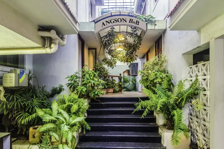 Ченнаи: Treebo Angson, Chennai