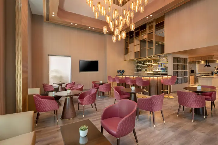 Гуруграм: Radisson Hotel Sector 29 Gurugram