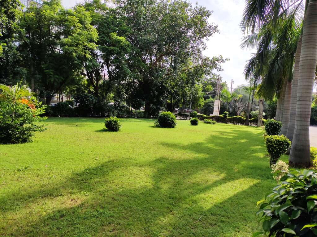 Гуруграм: Radisson Hotel Sector 29 Gurugram