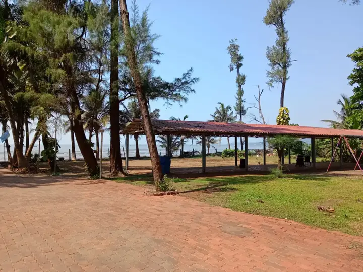 Golden Swan Beach Resort — фото 5