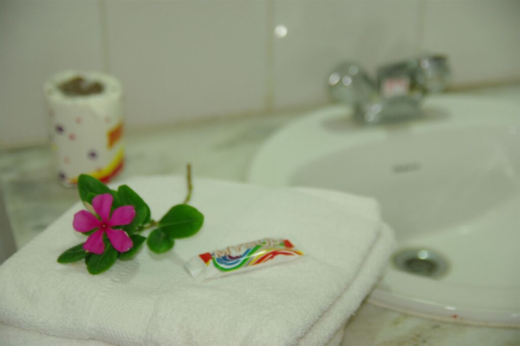 Кхаджурахо: Hotel Zen