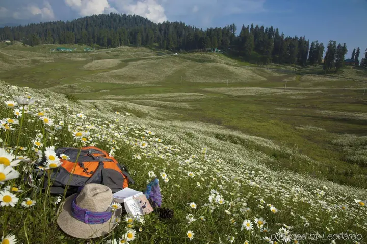 Гульмарг: The Khyber Himalayan Resort & Spa