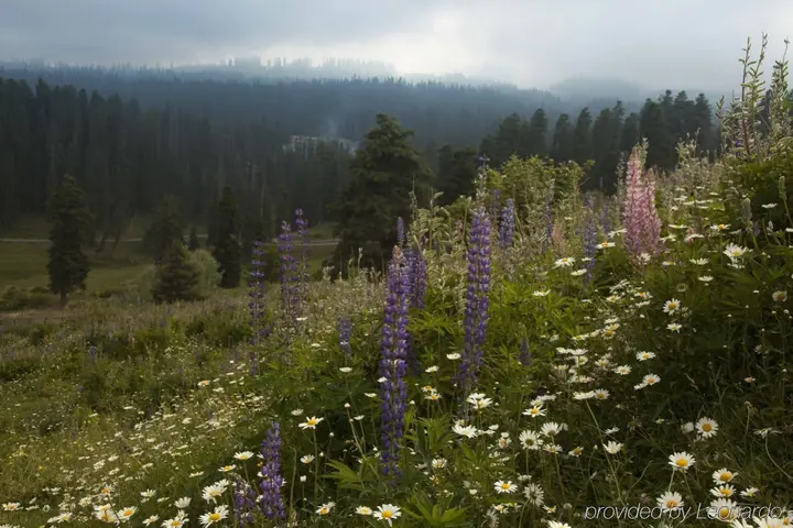 Гульмарг: The Khyber Himalayan Resort & Spa