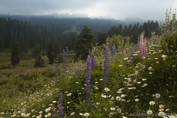 Гульмарг: The Khyber Himalayan Resort & Spa