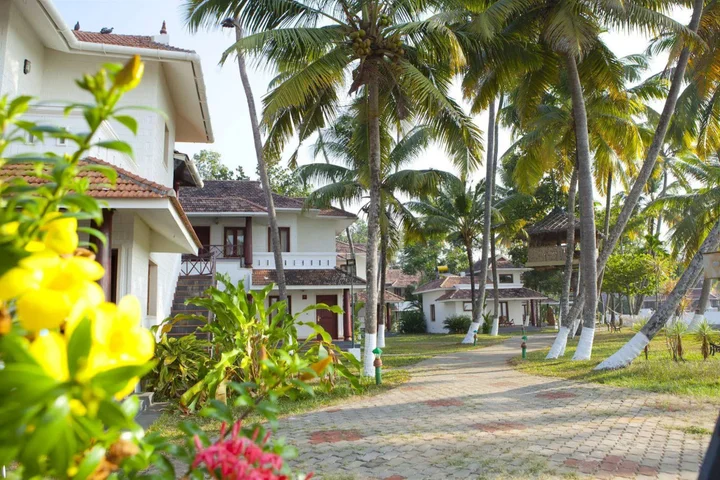 Cherthala: The World Backwaters