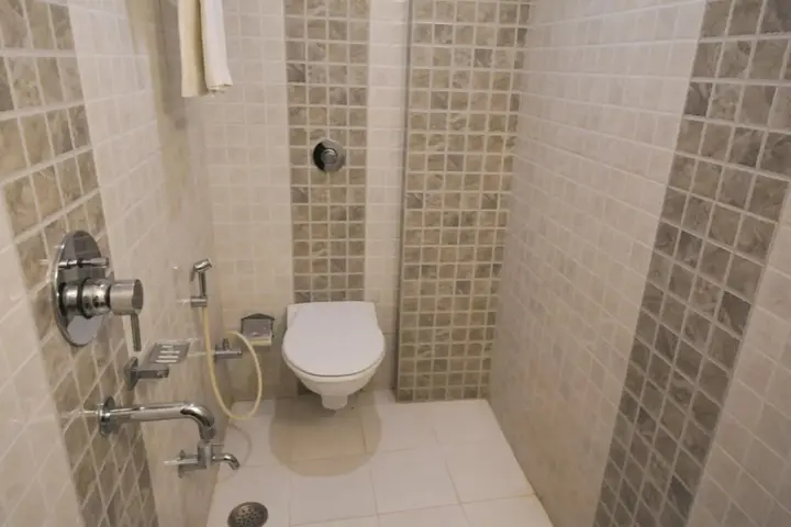 Варанаси: Hotel Central Residency