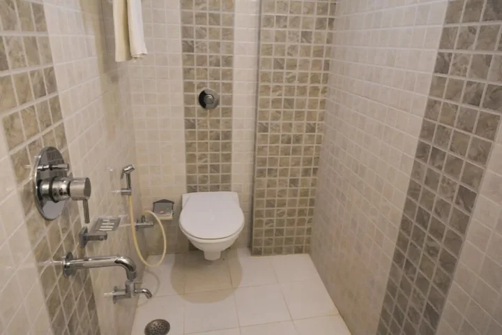 Варанаси: Hotel Central Residency