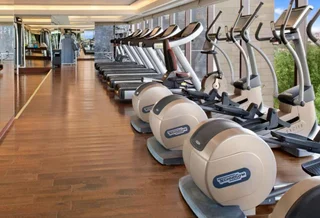 Нью-Дели: The Leela Ambience Convention Hotel Delhi