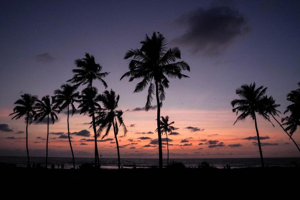 Южный Гоа: Longuinhos Beach Resort