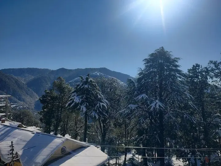 Чамба: Sagrika Resort
