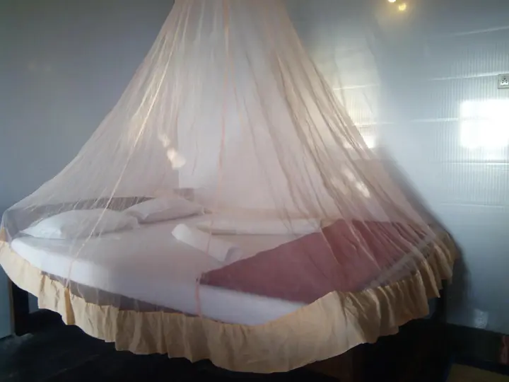 Панаджи: Hotel Solmar