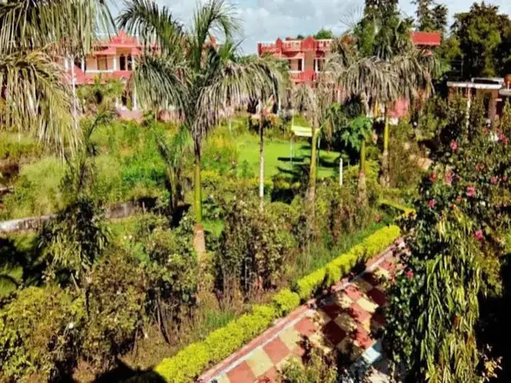 Shri Krishna Jungle Resort — фото 4