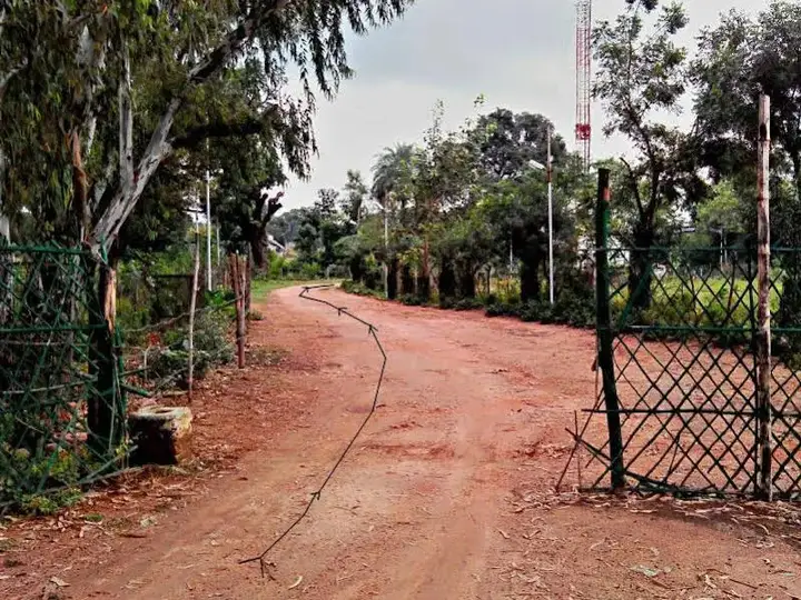 Shri Krishna Jungle Resort — фото 5