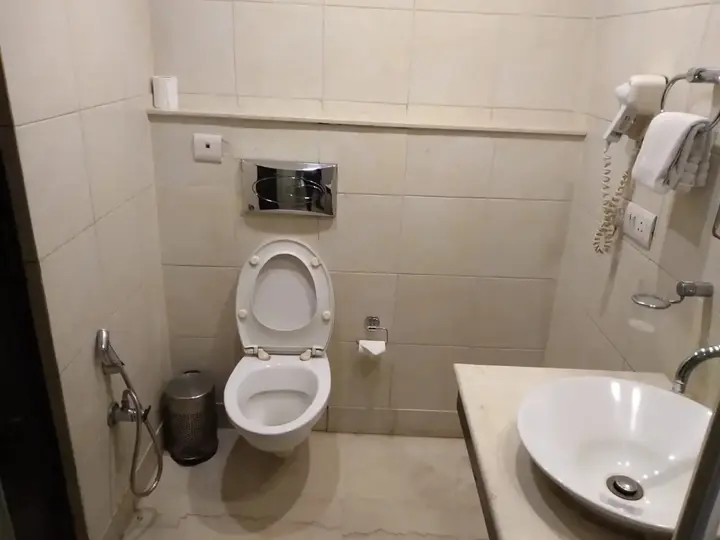 Нью-Дели: Rockland Hotel Panchsheel Enclave