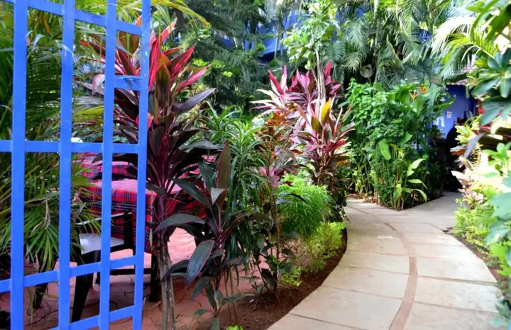 Калангут: Villa Theresa Beach Resort