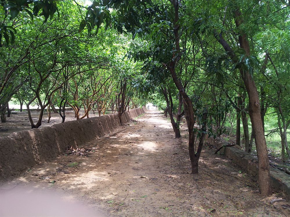 Савай-Мадхопур: Abrar Palace Wildlife Resort