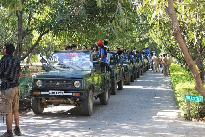Сазан: Gir Jungle Lodge