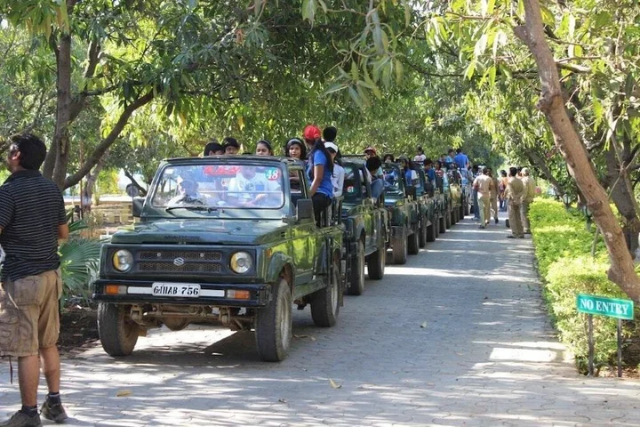 Сазан: Gir Jungle Lodge