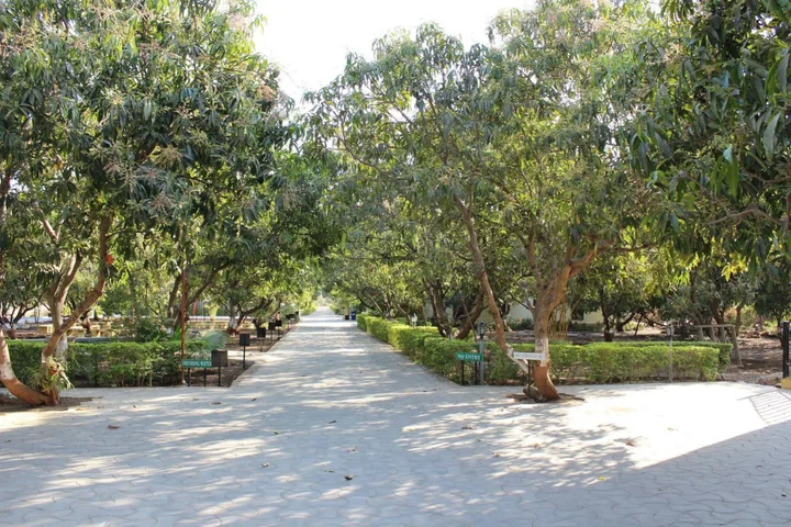 Сазан: Gir Jungle Lodge