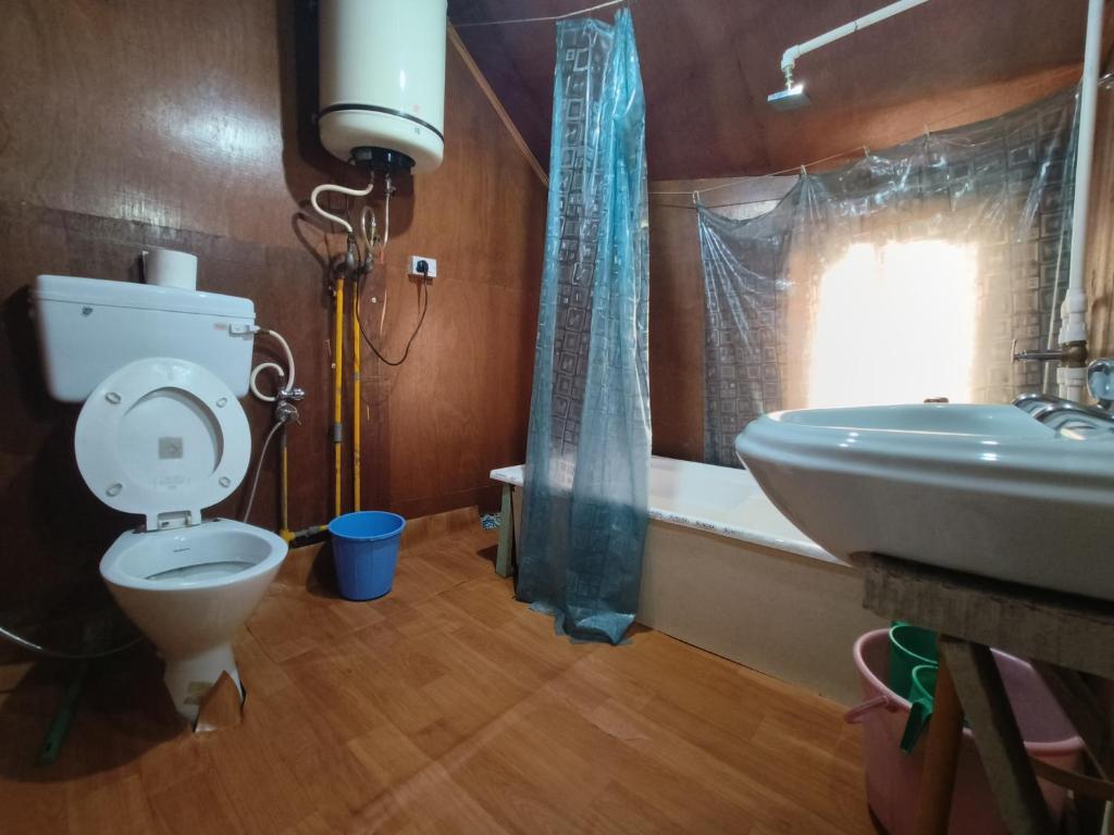 Шринагар: Houseboat New Suzan