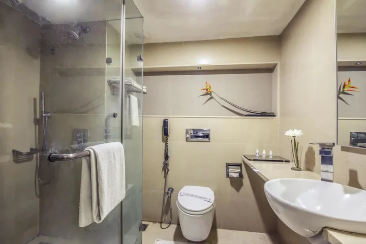 Хидерабад: Ebony Boutique Hotel