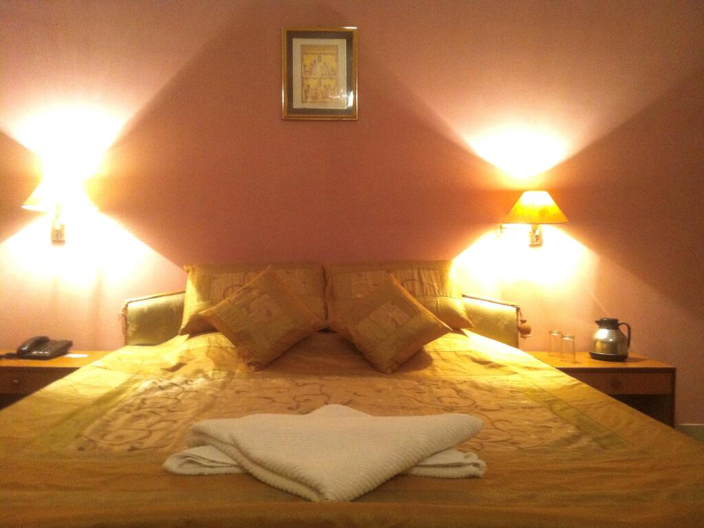 The New Swaraj Resort — фото 6