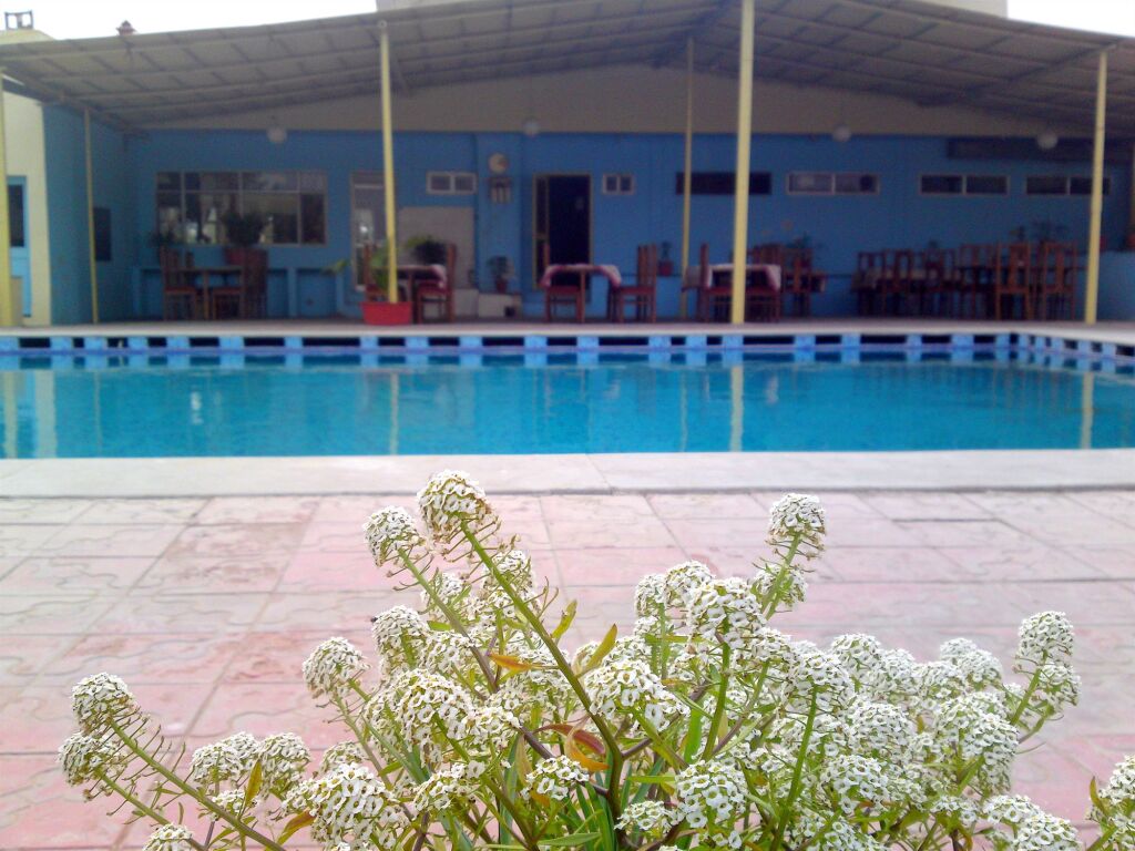 The New Swaraj Resort — фото 5