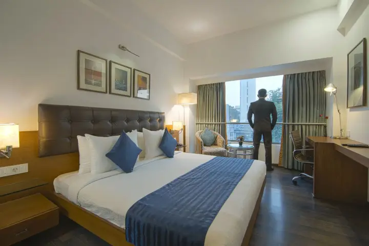 Ахмедабад: Riverview Hotel