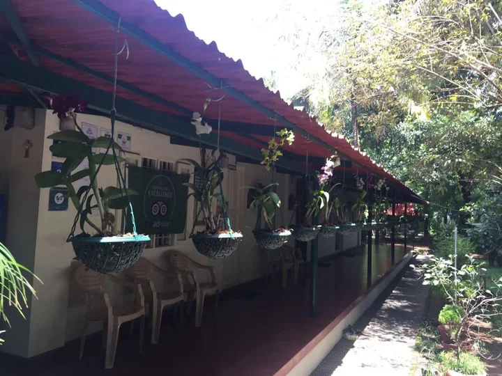 Вайпин: Palm Grove Service Villa