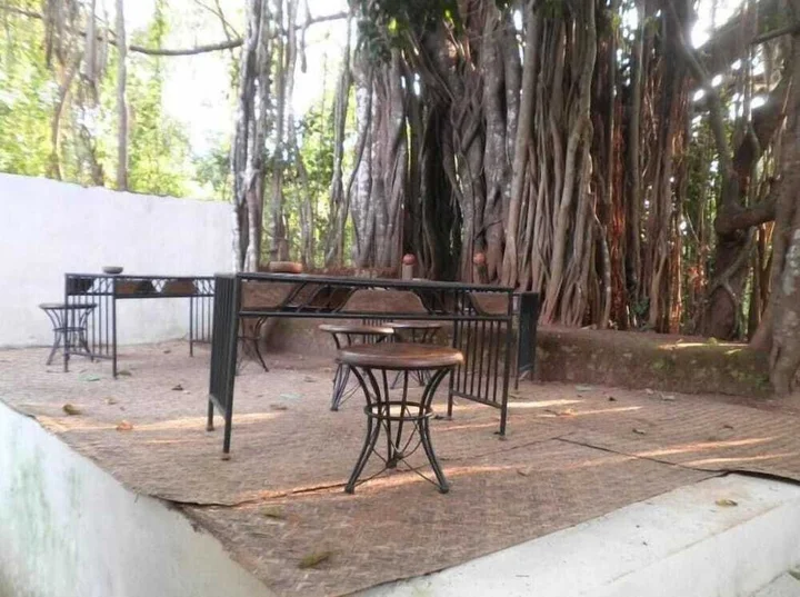 Анджуна: The Banyan Soul