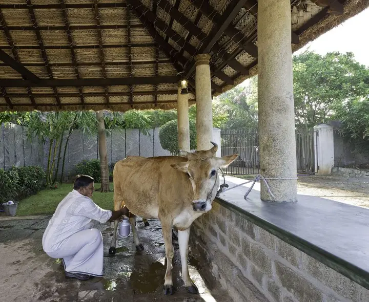 Тируваннамалай: Halez Sparsa Thiruvannamalai
