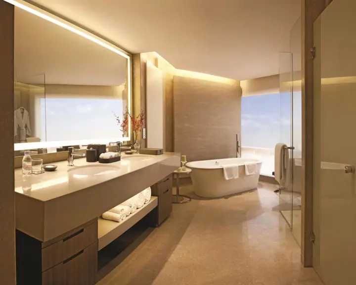 Нью-Дели: Hyatt Regency Delhi
