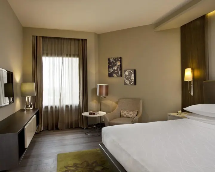 Нью-Дели: Hyatt Regency Delhi