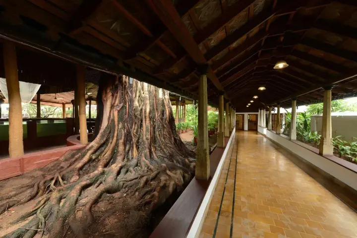 Коччи: Casino Hotel - Cgh Earth, Cochin