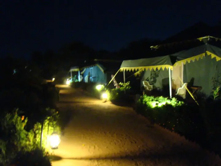 Пушкар: Orchard Pushkar
