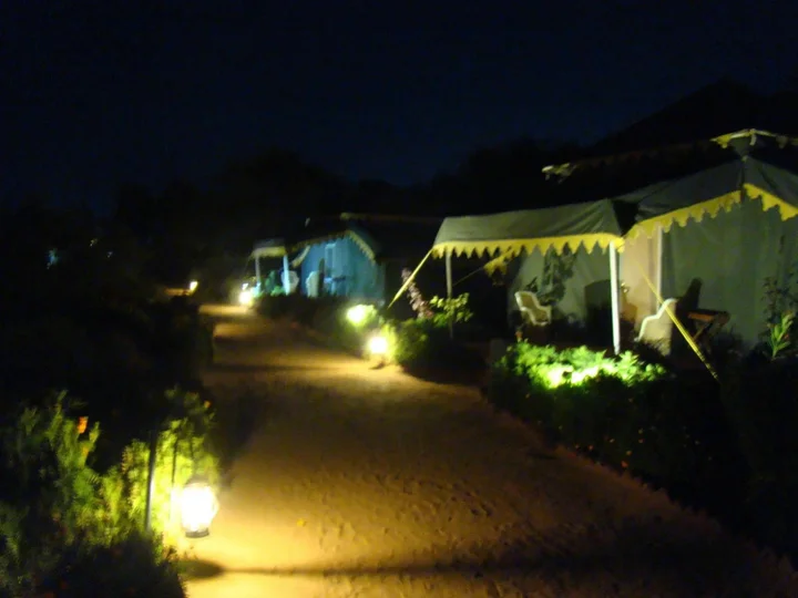Пушкар: Orchard Pushkar