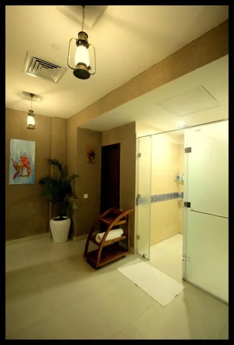 Нью-Дели: Hotel Shanti Palace