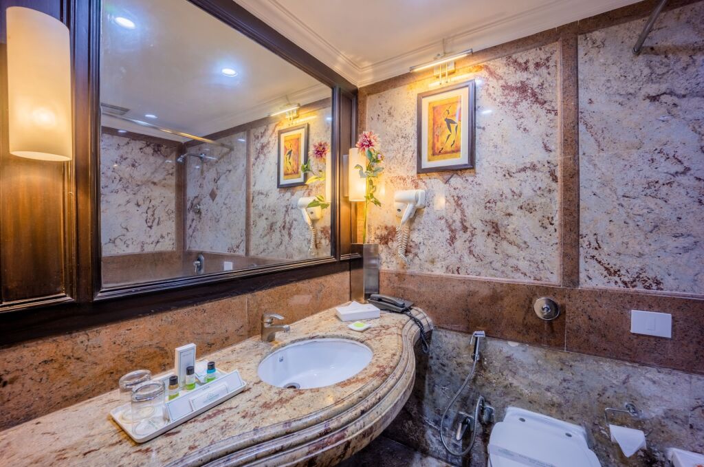 Нью-Дели: Hotel Shanti Palace