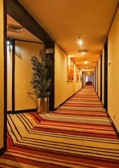 Нью-Дели: Hotel Shanti Palace