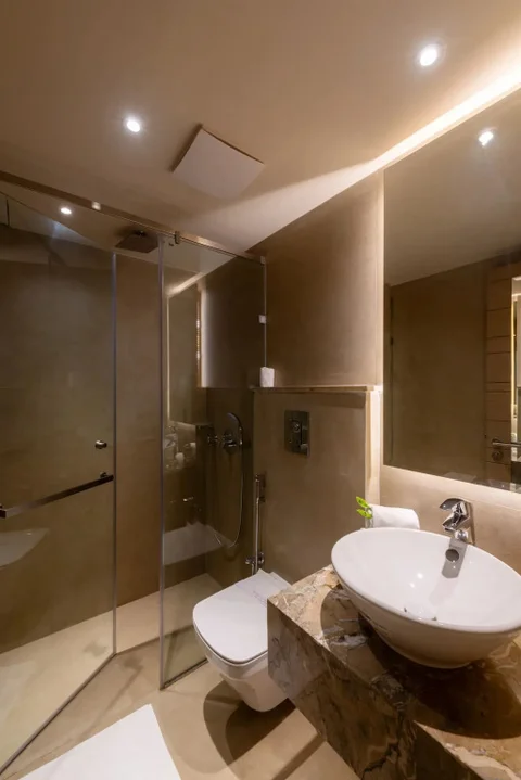 Нью-Дели: Hotel Saket 27