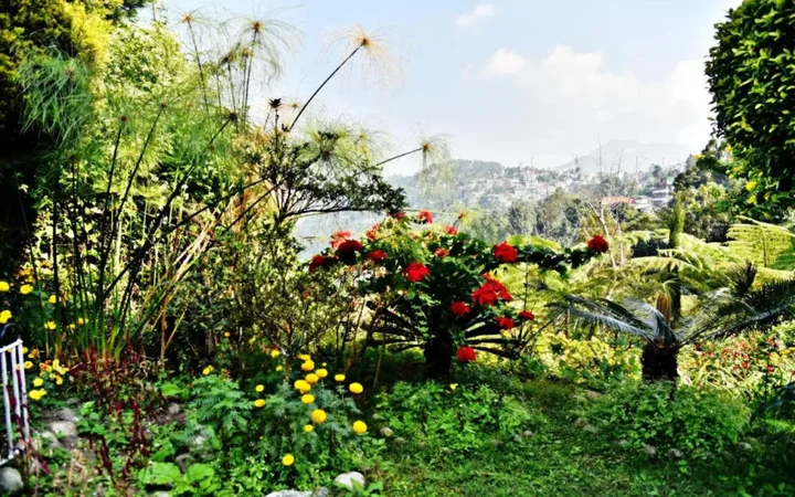Калимпонг: Soods Garden Retreat