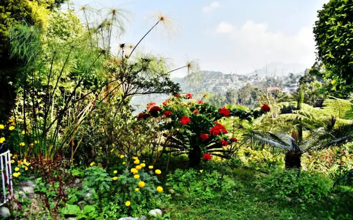 Калимпонг: Soods Garden Retreat