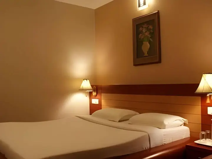 Пудучерри: Hotel Green Palace